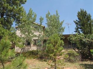 136 Royal Ct, Bailey, CO 80421