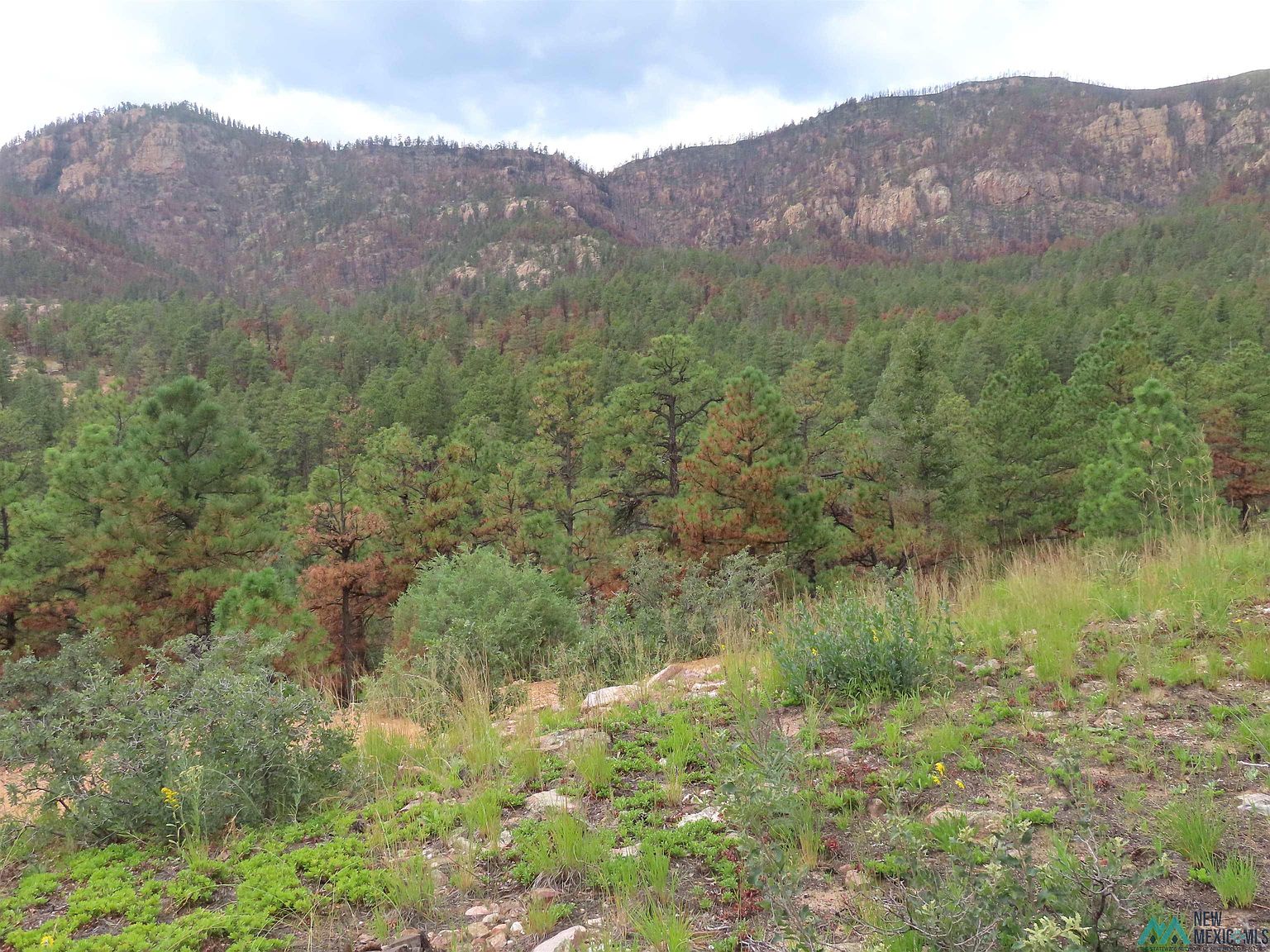 Ctc Ranch Canyon Rd, Mora, NM 87732 MLS 20222930 Zillow