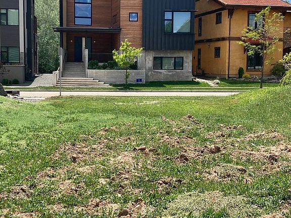 3rd image of 232 Pascal St