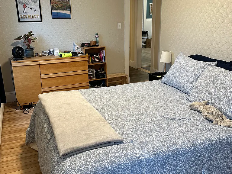 21 Dorothy St #1 — Photo 12