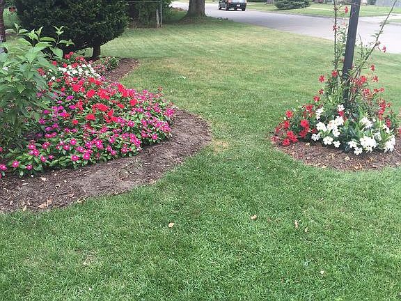 Front Landscaping