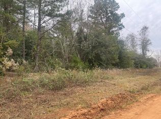 1960 Jaguar Run, Wedgefield, SC 29168