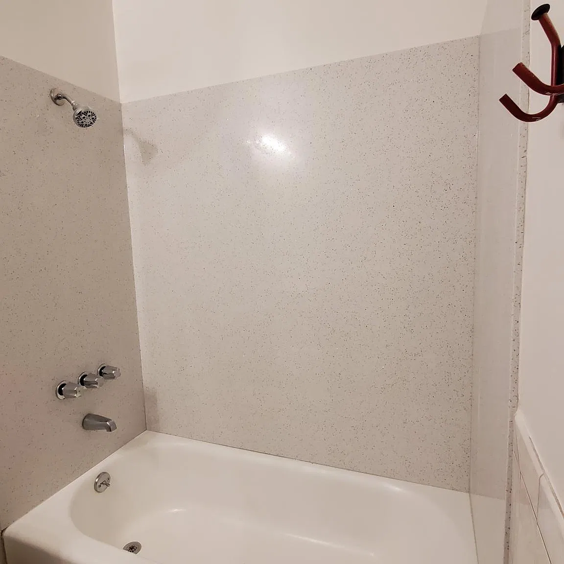 1 bed, 460 sqft, $1,250 — Photo 2