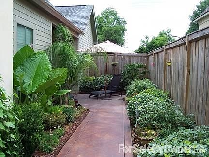 2nd image of 245 Rosemary Pl