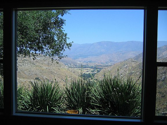 View from dining room