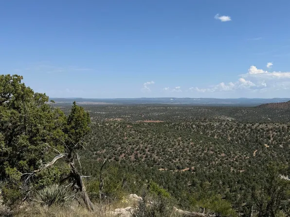 109 Off Of Twin Fawn Ln, Ash Fork, AZ 86320