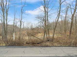 Lane West Rd SW, Warren, OH 44481