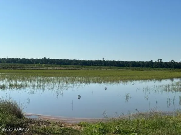 State Highway 104, Oberlin, LA 70655
