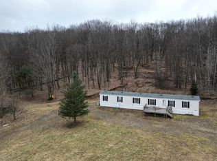 5335 Hog Brook Rd, Wellsville, NY 14895