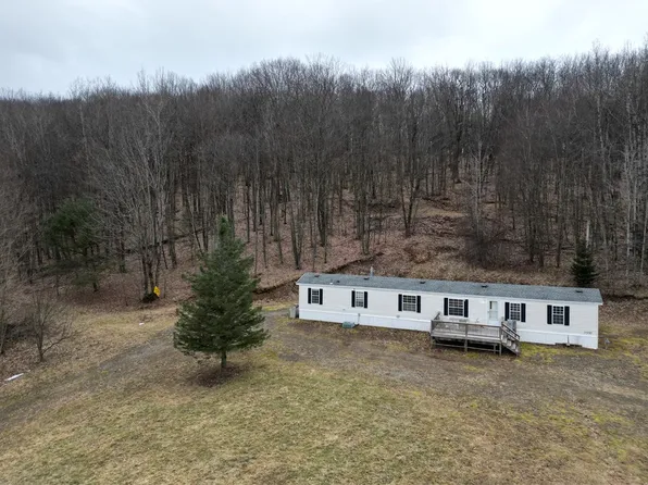 5335 Hog Brook Rd, Wellsville, NY 14895