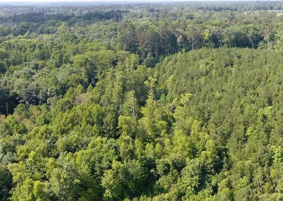 Bradley 56, Hermitage, AR 71647 Zillow