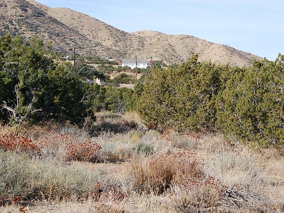 4th image of 0 Vic Linda Mesa Juniper #H