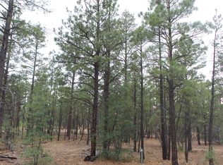 140 S Silk Tassel Rd, Show Low, AZ 85901