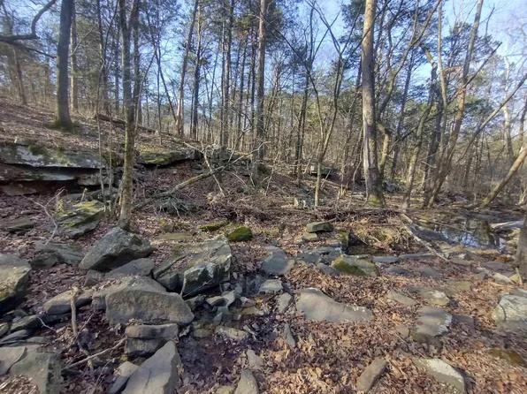 TRACT 1 Highway 14 E, Mountain View, AR 72560