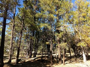 2899 Robin Ln, Happy Jack, AZ 86024