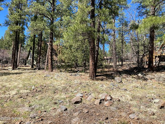 3rd image of 17486 S Mescalero Dr