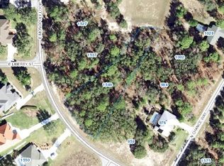 1549 E Monopoly Loop, Inverness, FL 34453