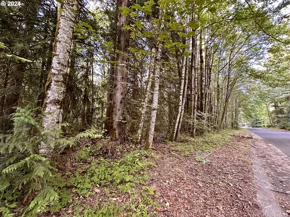 0 E Bright Ave, Welches, OR 97067