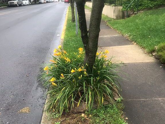 5th image of 1021 Delaware Ave
