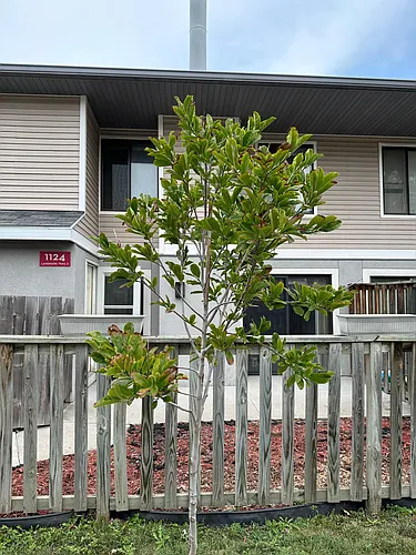 1124 Landmark Trl S Photo 1