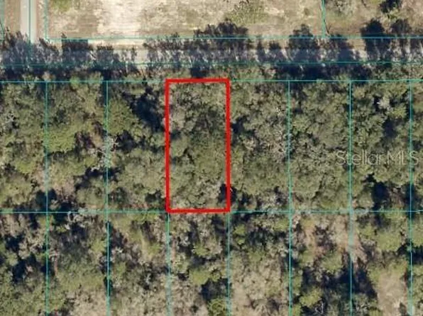 SW Sea Cliff Ave Lot 13, Dunnellon, FL 34431