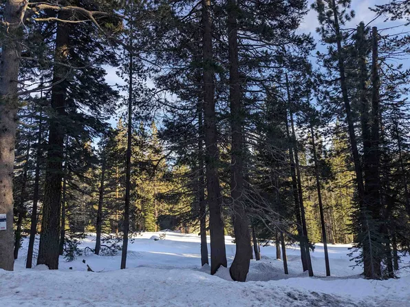 50953 Jeffery Pine Dr, Soda Springs, CA 95728