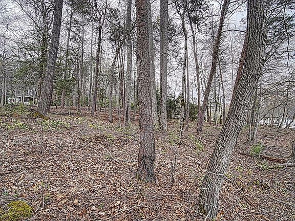 5th image of 127 Dogwood Pl