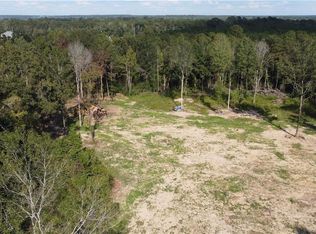 12663 Arcola Rd, Roseland, LA 70456