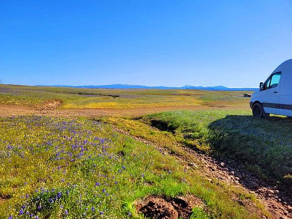 3rd image of Leopard Dr