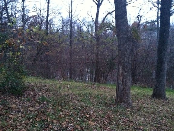 Lakeview thru trees