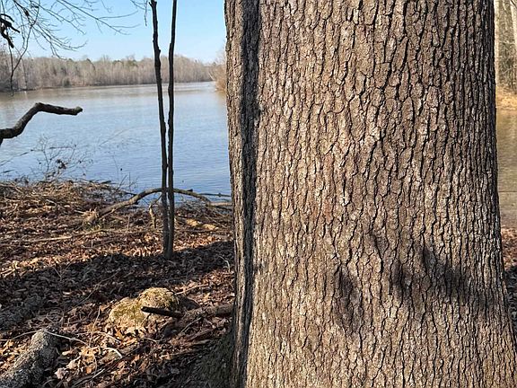 4th image of 0 Secession Way