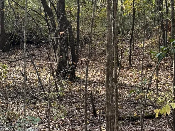 Davis Acres Dr #16, Alpine, AL 35014