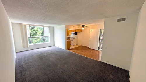 500 Evergreen St #306 Photo 1