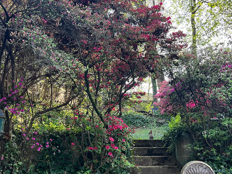 404 Mississippi Ave — Photo 14