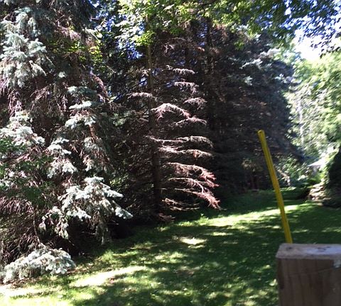 2nd image of 394 S Lake St