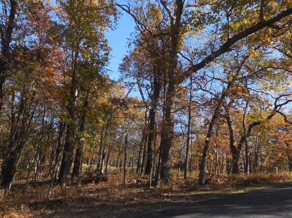 Blue Grouse Ln, Afton, OK 74331