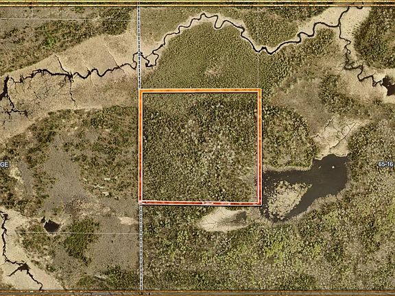 5th image of TBD Echo Tr