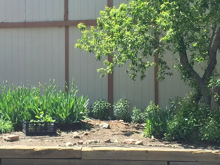 Community Garden