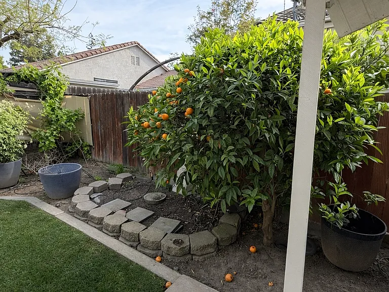 1790 E Chelsea Dr — Photo 29