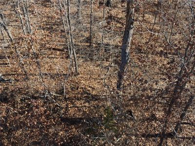 Regis Ln #63, Bella Vista, AR, 72714