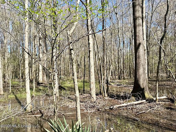 5th image of 0 Swamp Rd
