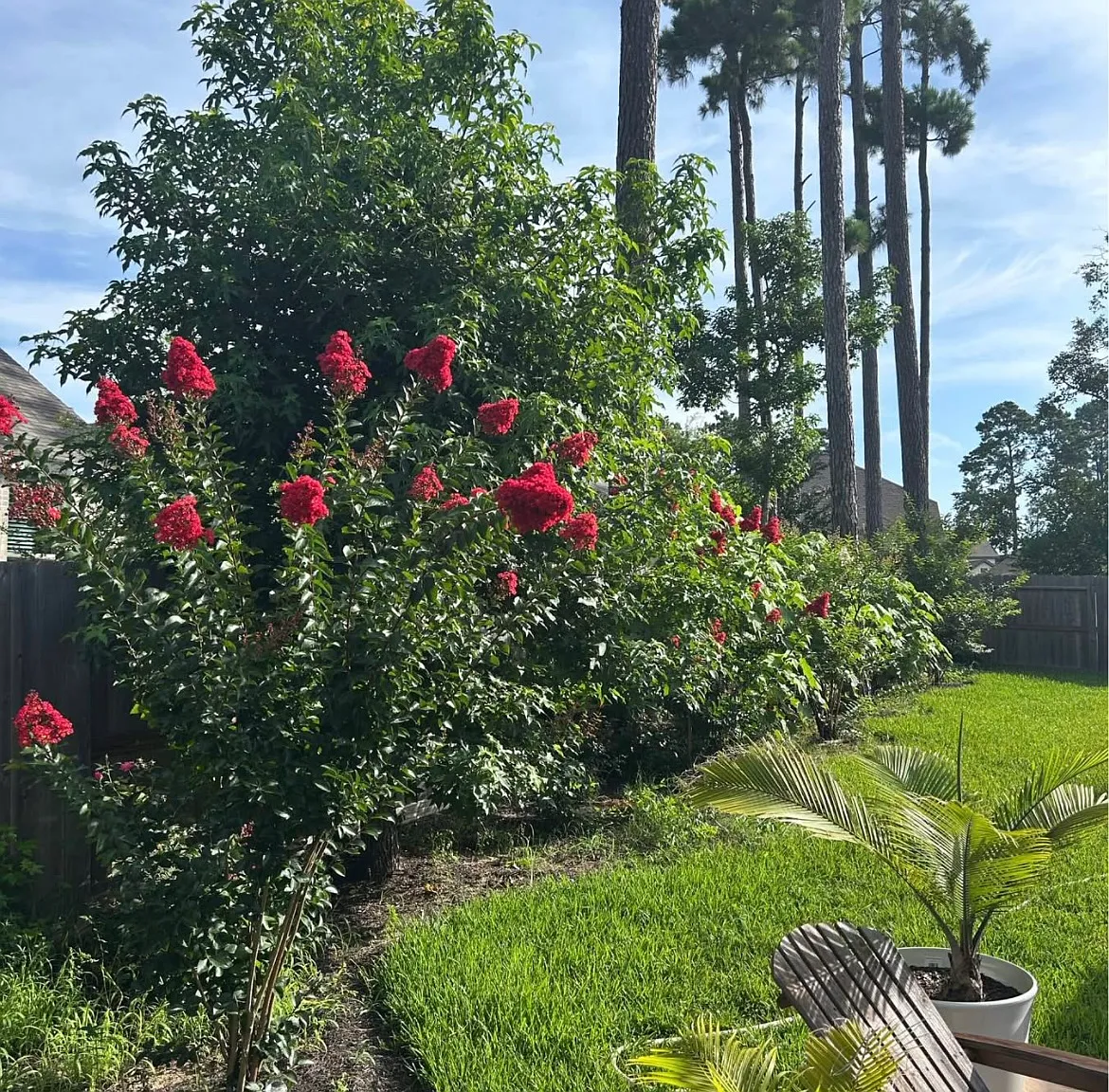 3 bed, 1956 sqft, $2,550 — Photo 3