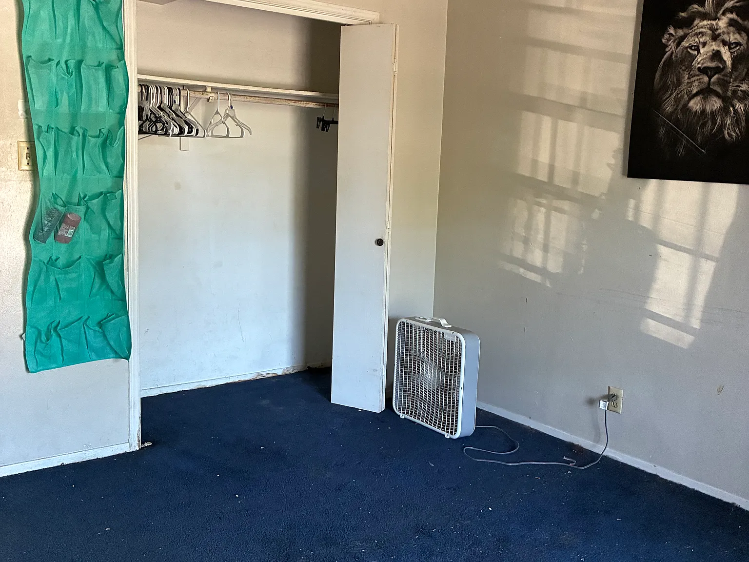 1 bed, 700 sqft, $750 — Photo 4
