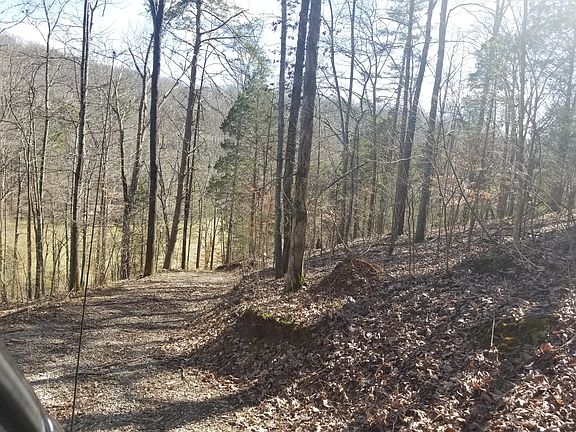 5th image of 945 Blackberry Ridge Dr