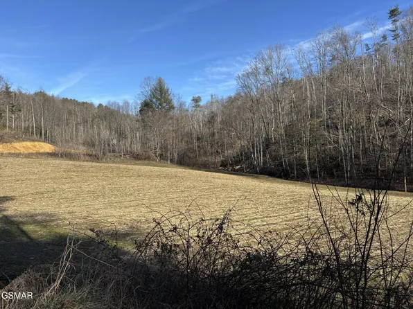 2 Bull Mountain Rd Lot Del, Del Rio, TN 37727