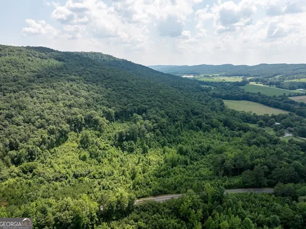 0 County Road 1907, Collinsville, AL 35961