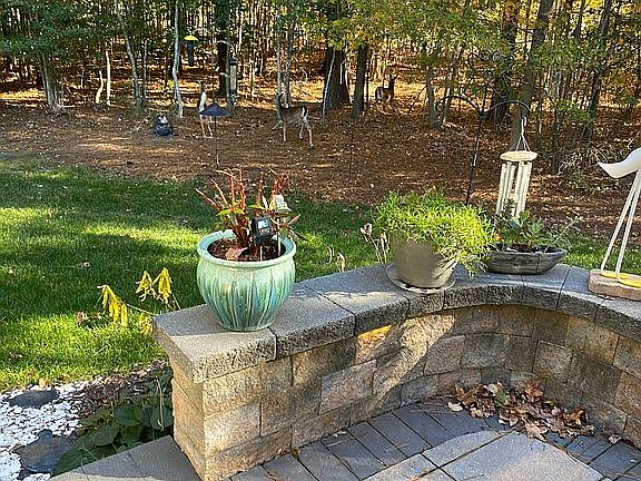 Back Patio