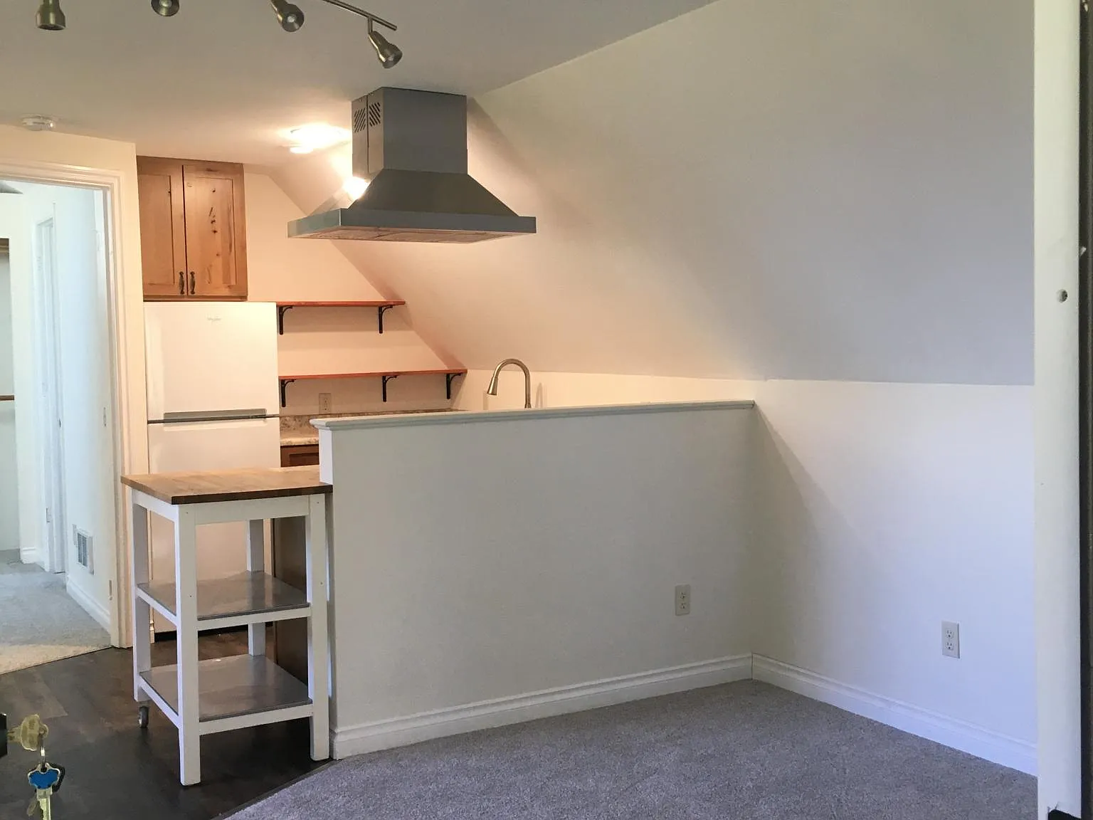 1 bed, 430 sqft, $1,500 — Photo 4