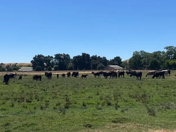 Morrison Rd, Oakdale, CA 95361