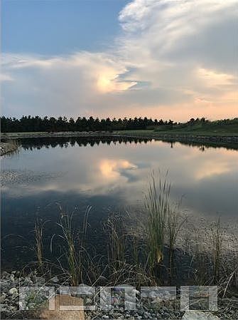 Pond view potentia home site